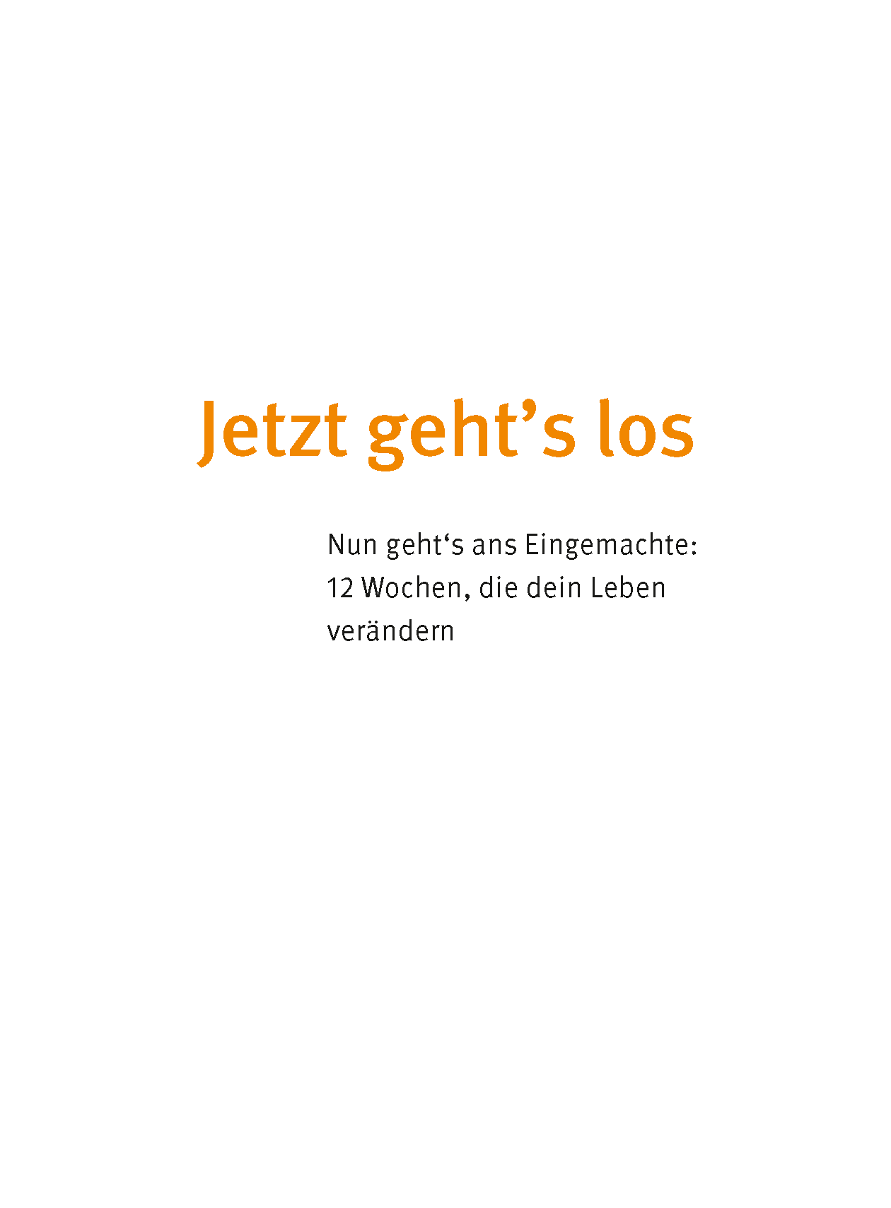 Der Anti-Diabetes-Plan - Das Praxisbuch