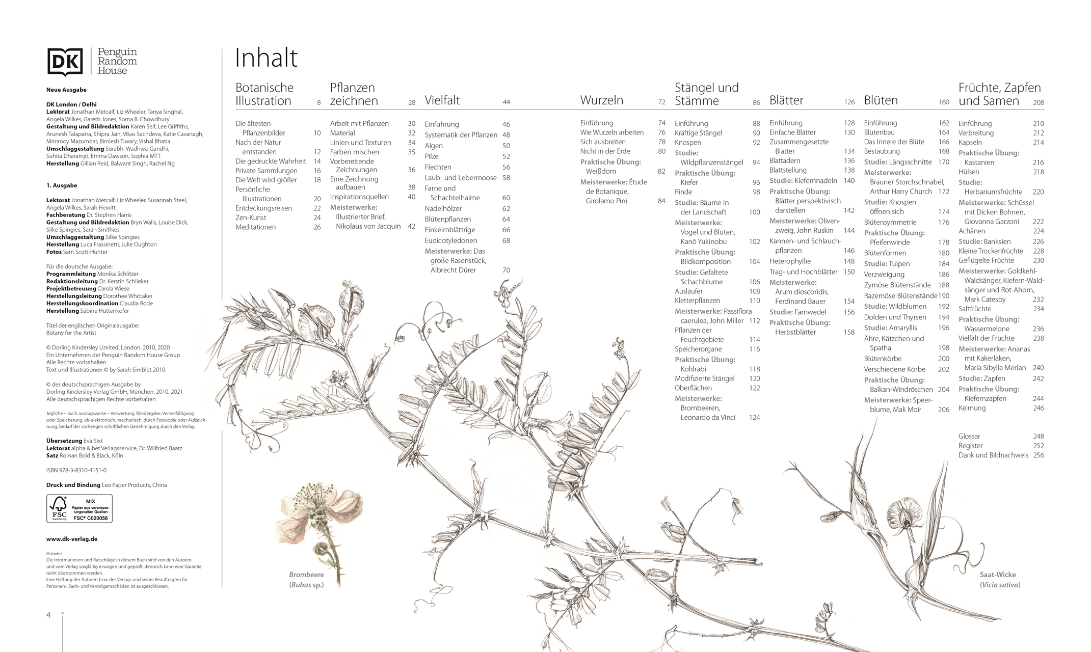 Botanik für Künstler