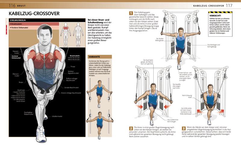 Krafttraining