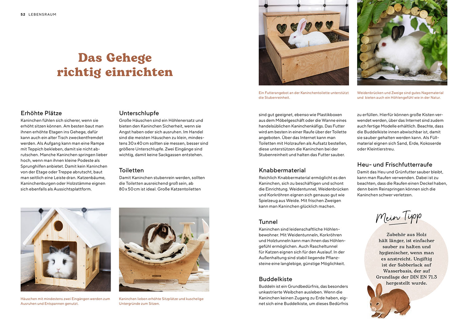 Zwergkaninchen