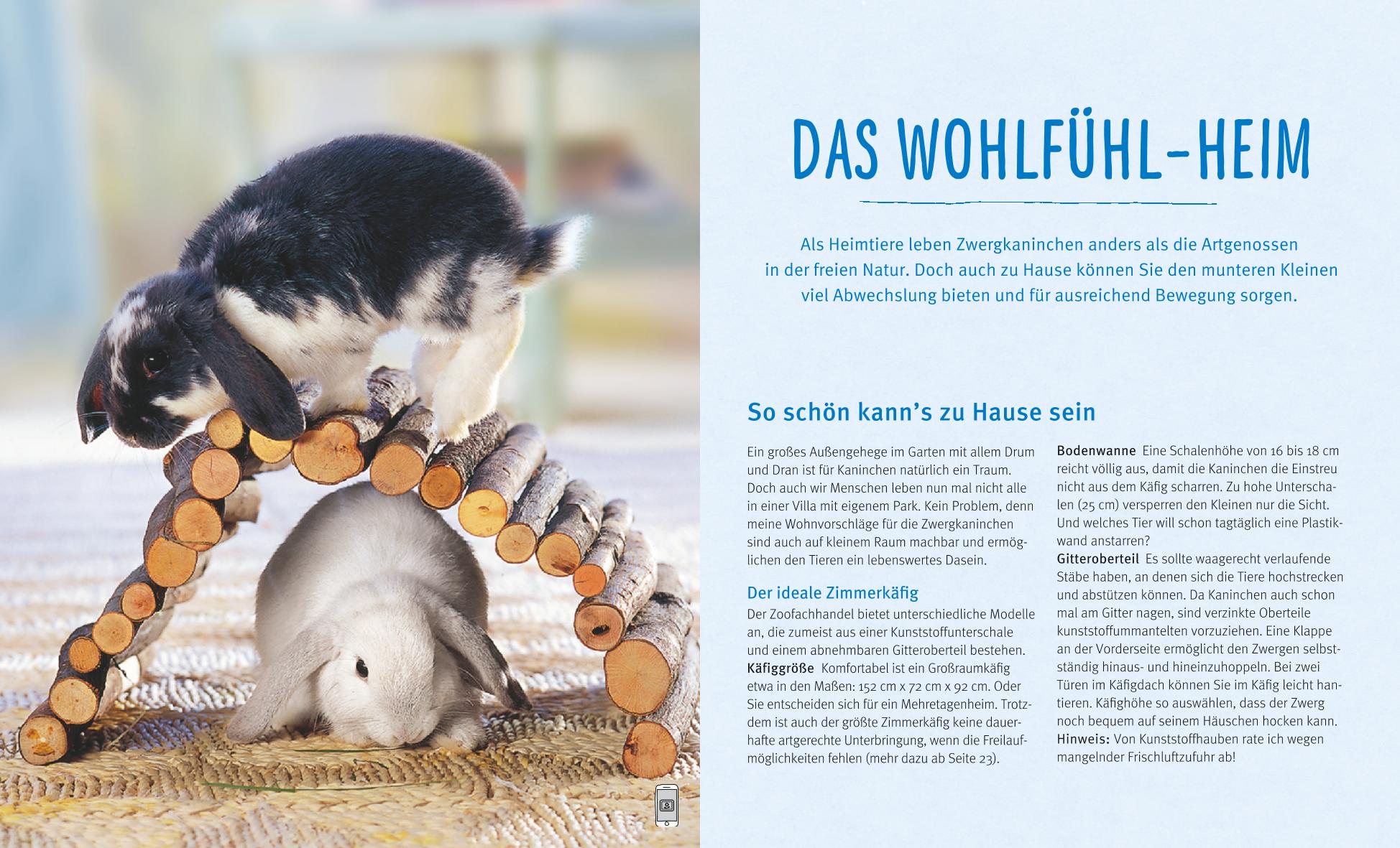 Zwergkaninchen Zwergkaninchen