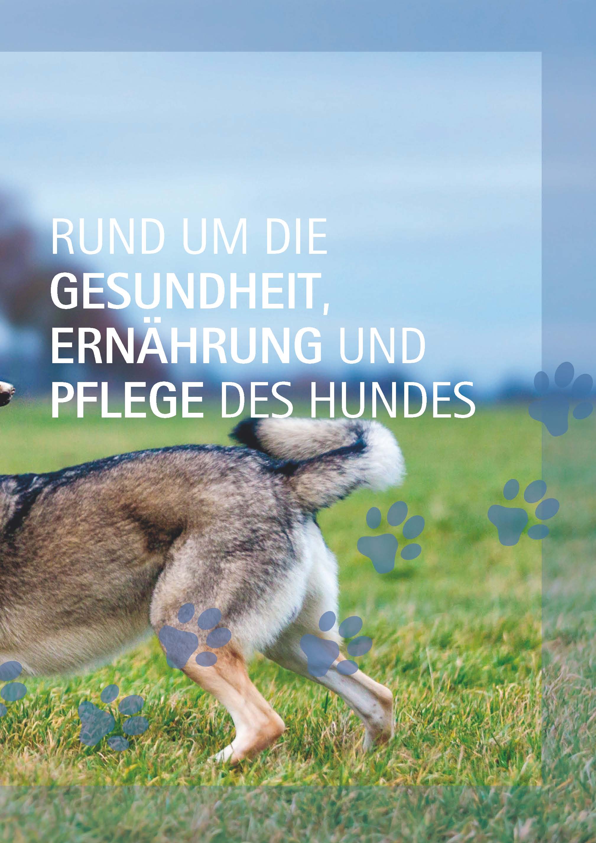 Ein Hund und 1000 Fragen