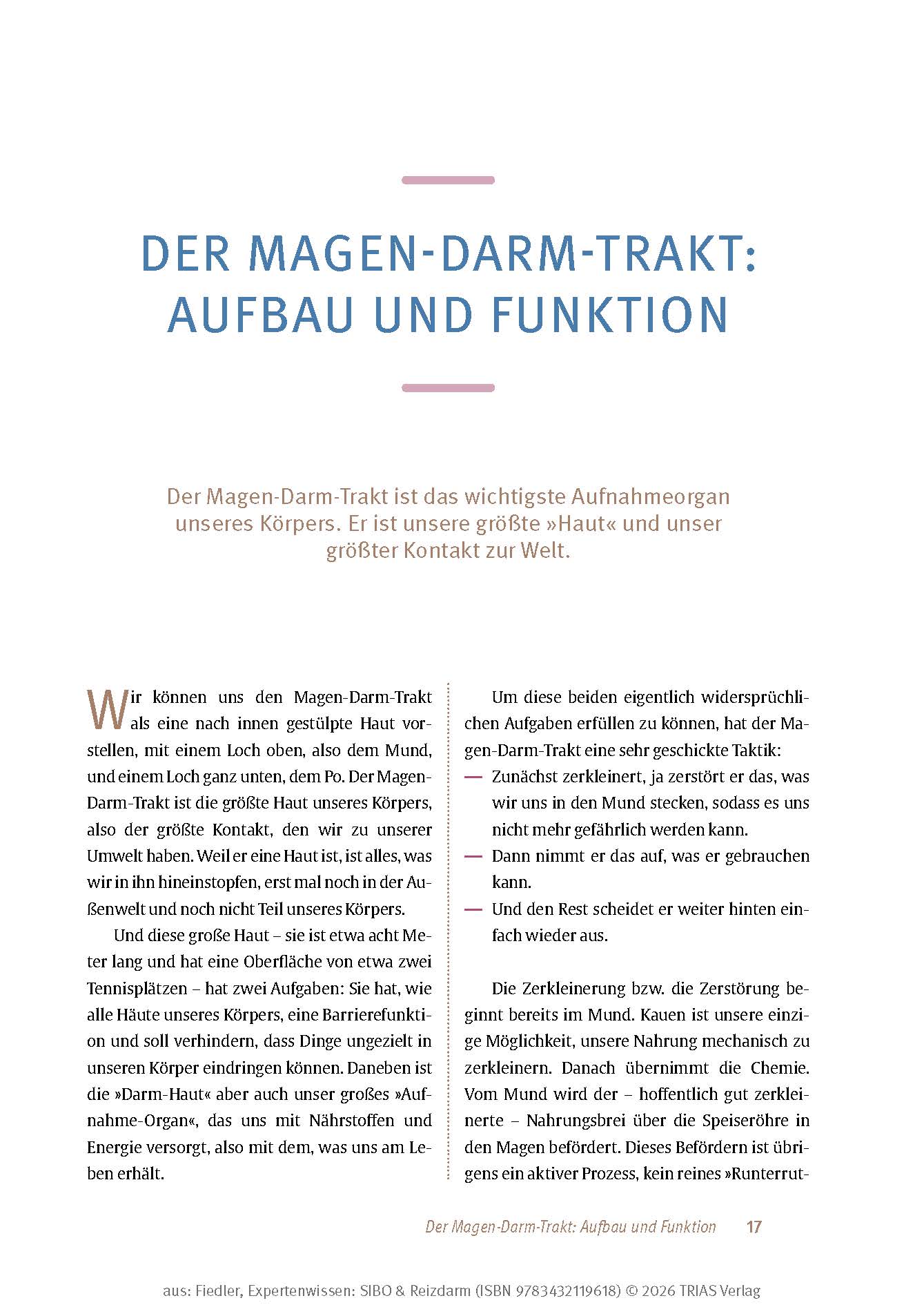 Expertenwissen: SIBO & Reizdarm