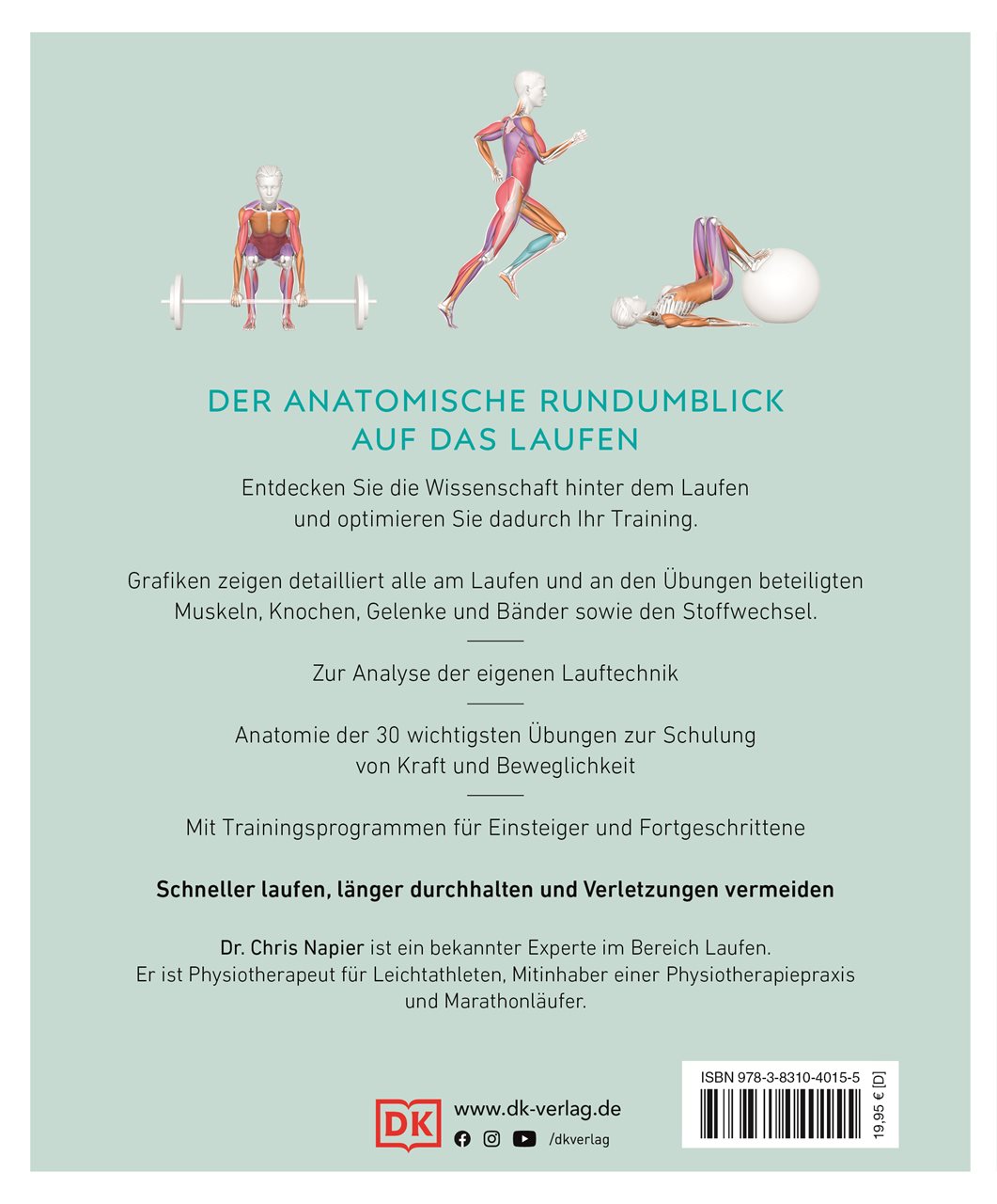 Lauftraining – Die Anatomie verstehen