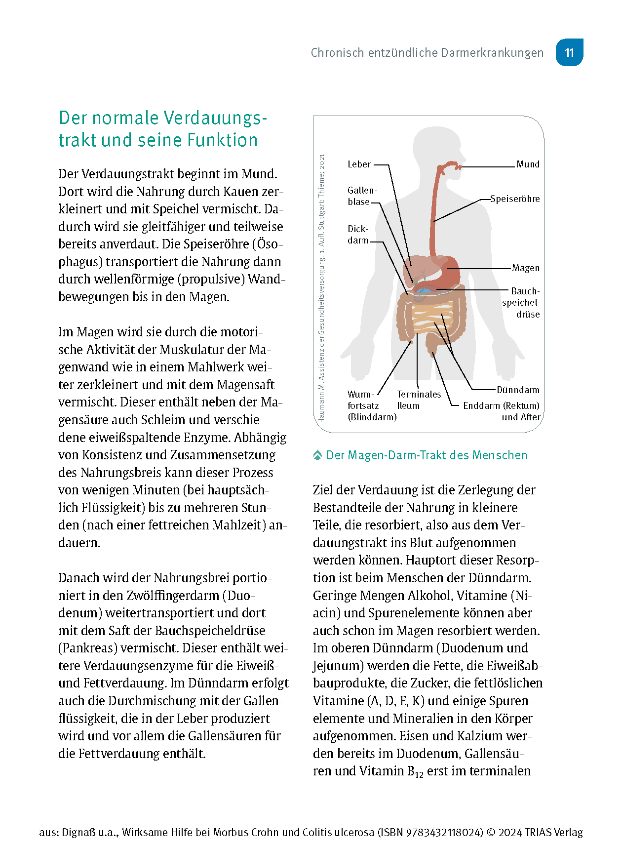Wirksame Hilfe bei Morbus Crohn und Colitis ulcerosa
