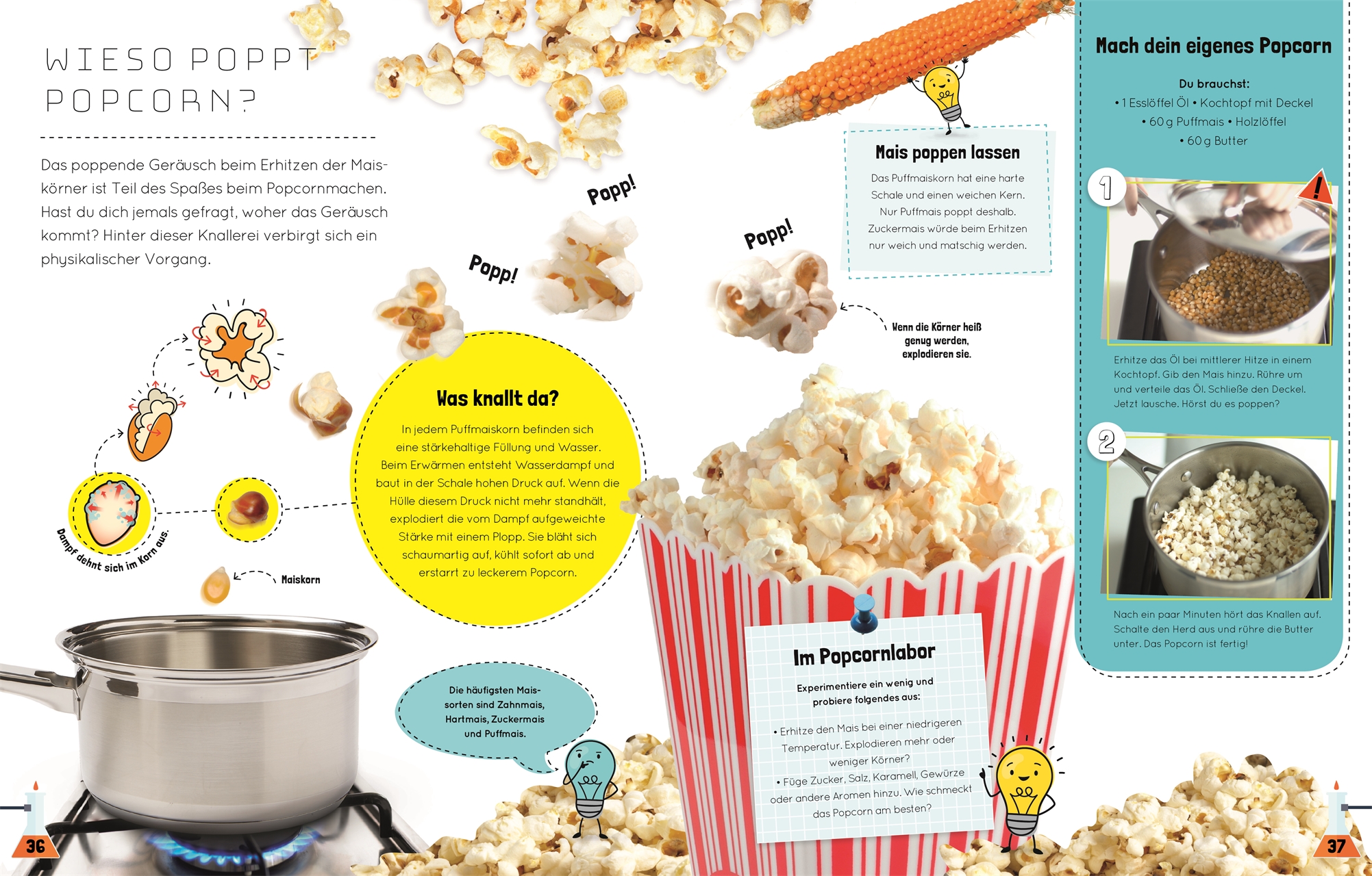 Das total verrückte Küchenlabor