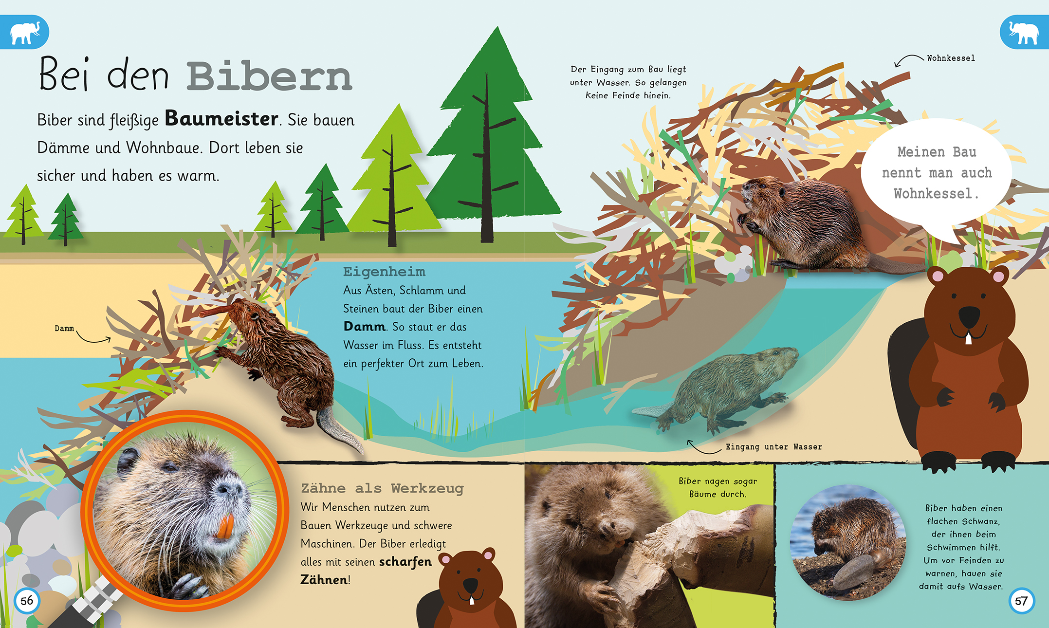 Was weißt du über Tiere?