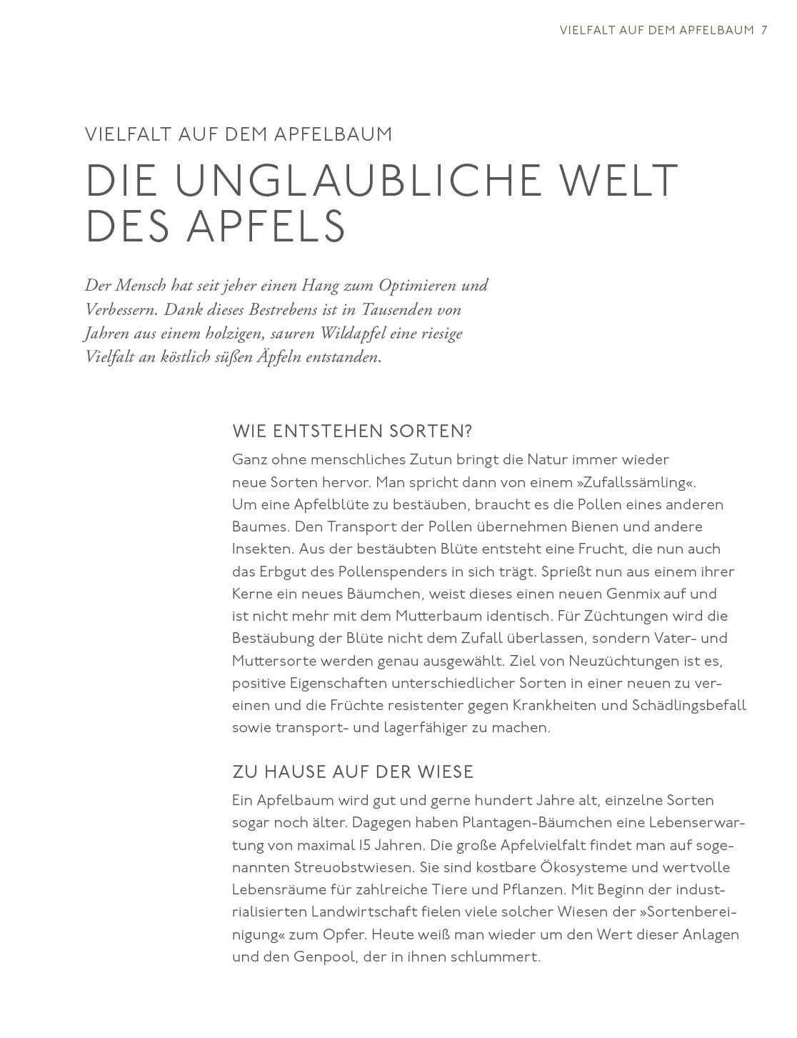 Apfelgarten