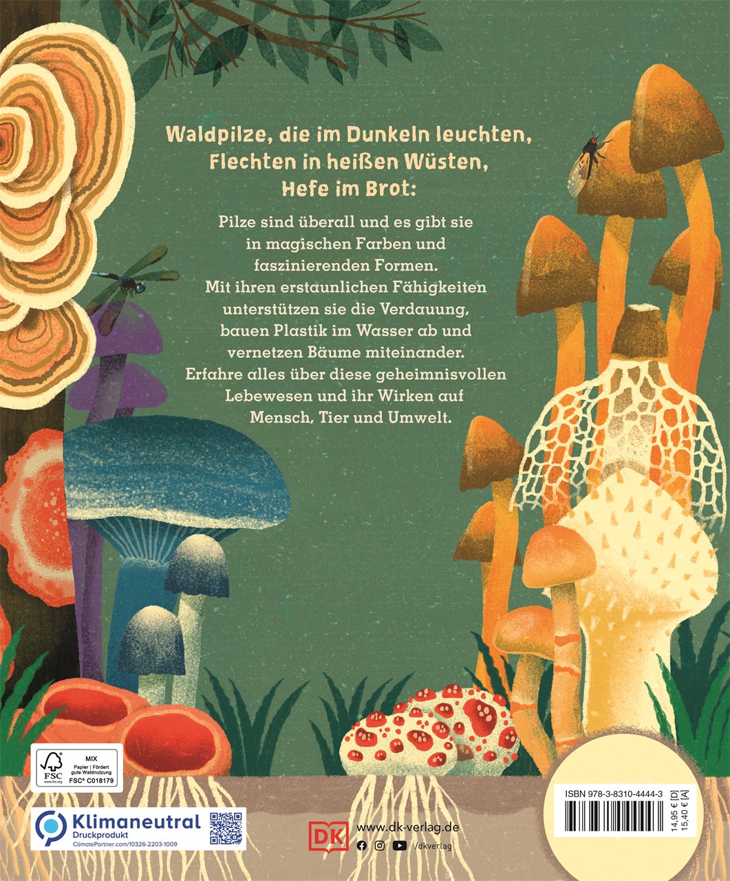 Geheimnisvolle Pilze