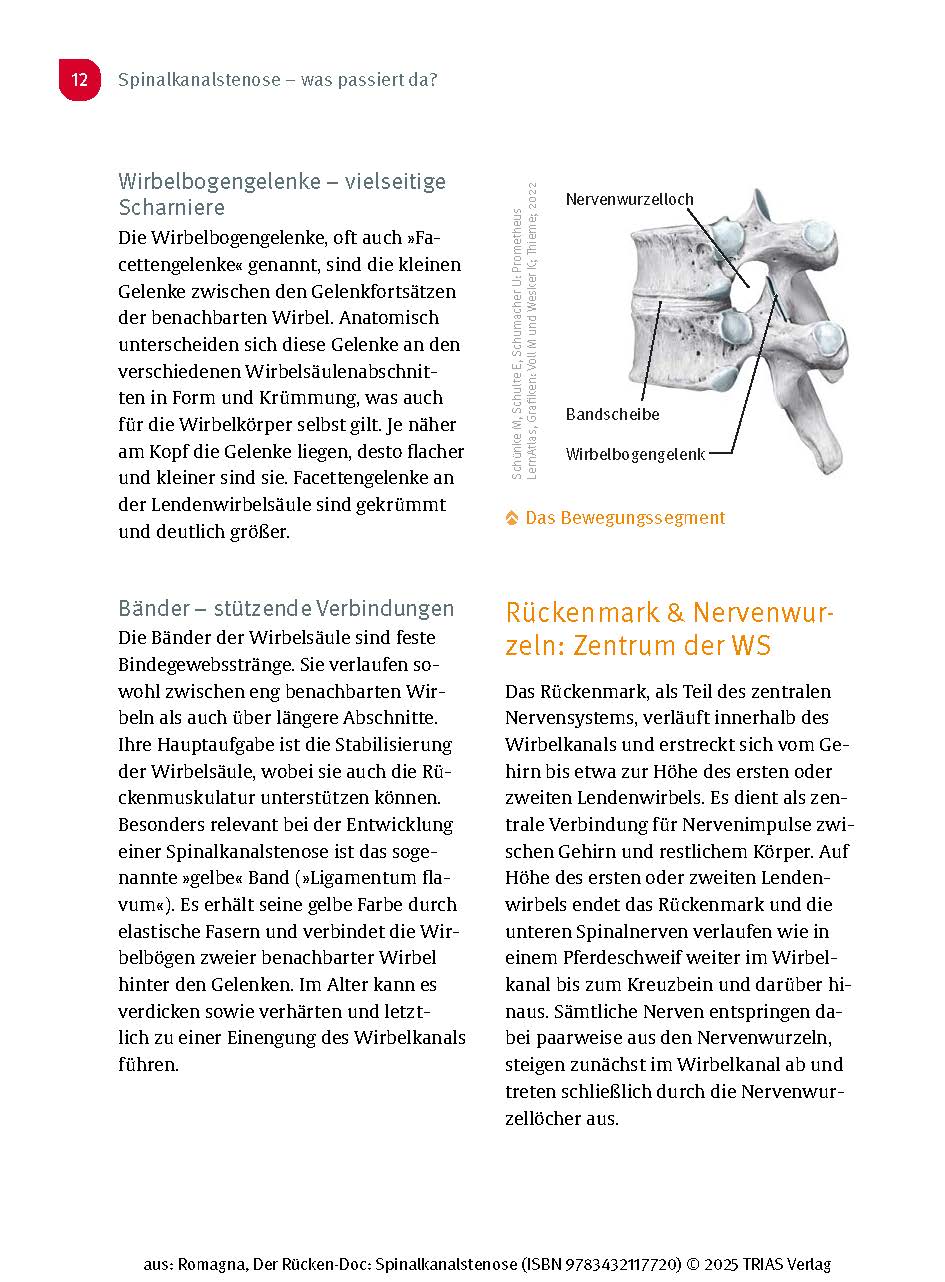 Der Rücken-Doc: Spinalkanalstenose