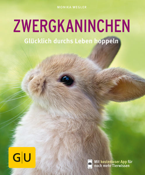 Zwergkaninchen Zwergkaninchen