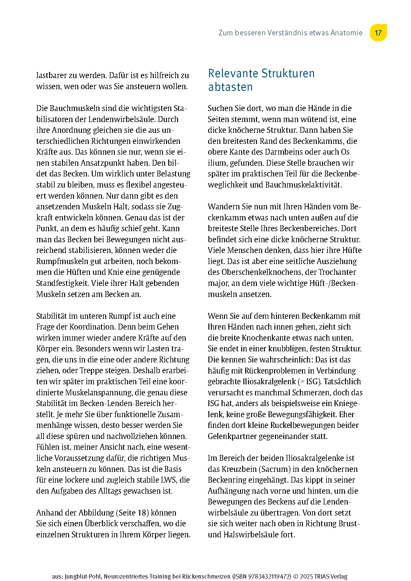 Neurozentriertes Training bei Rückenschmerzen