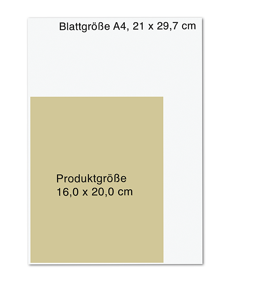 Das RückenHeilbuch für Frauen