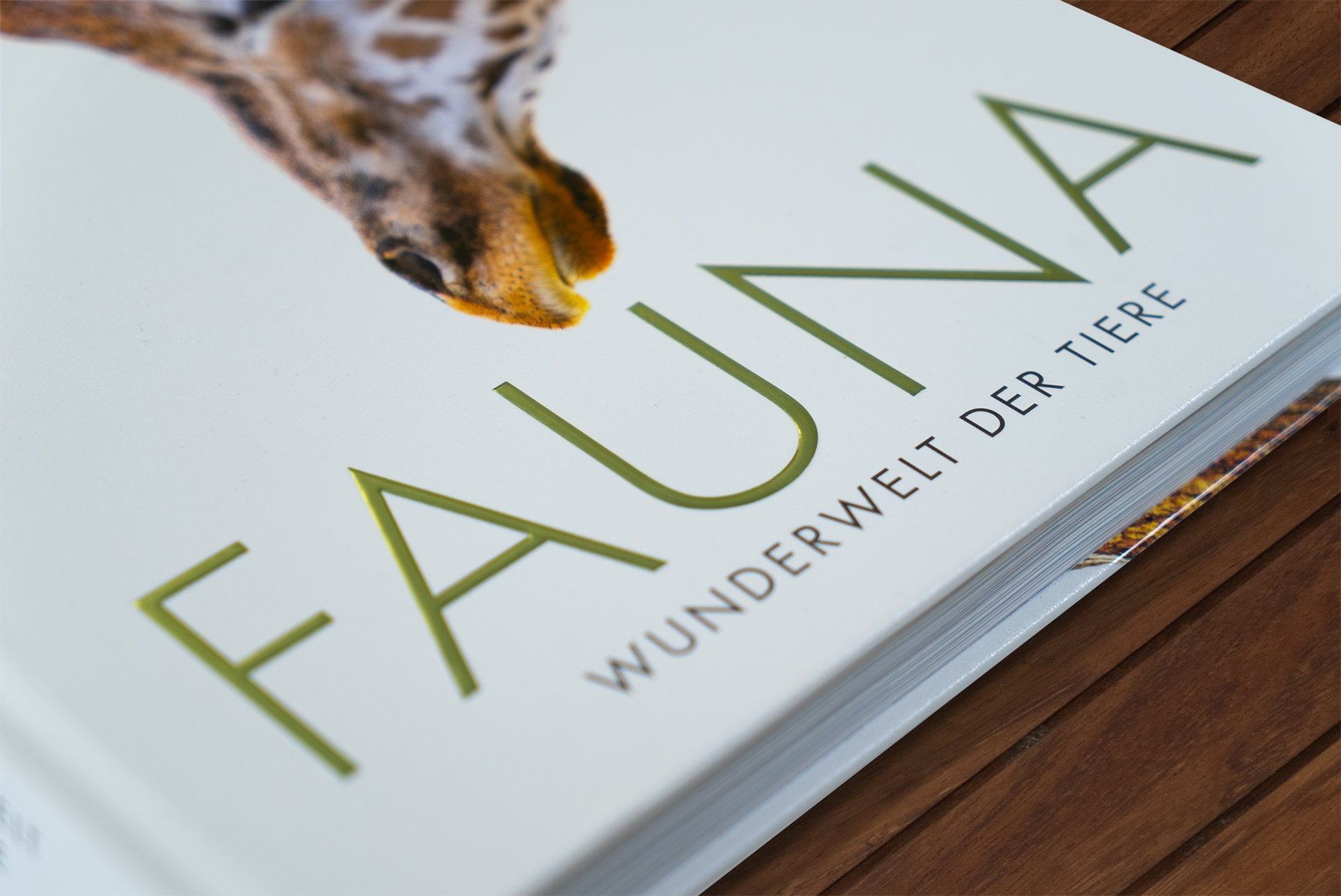 Fauna – Wunderwelt der Tiere