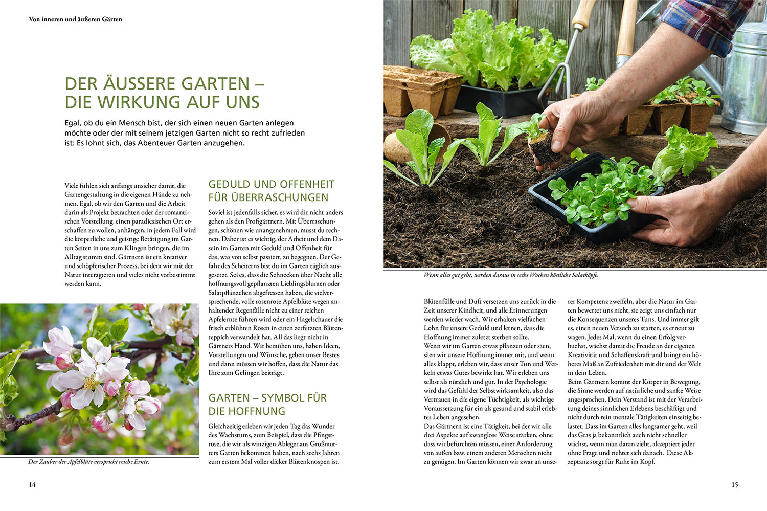 Mit dem Garten gemeinsam wachsen