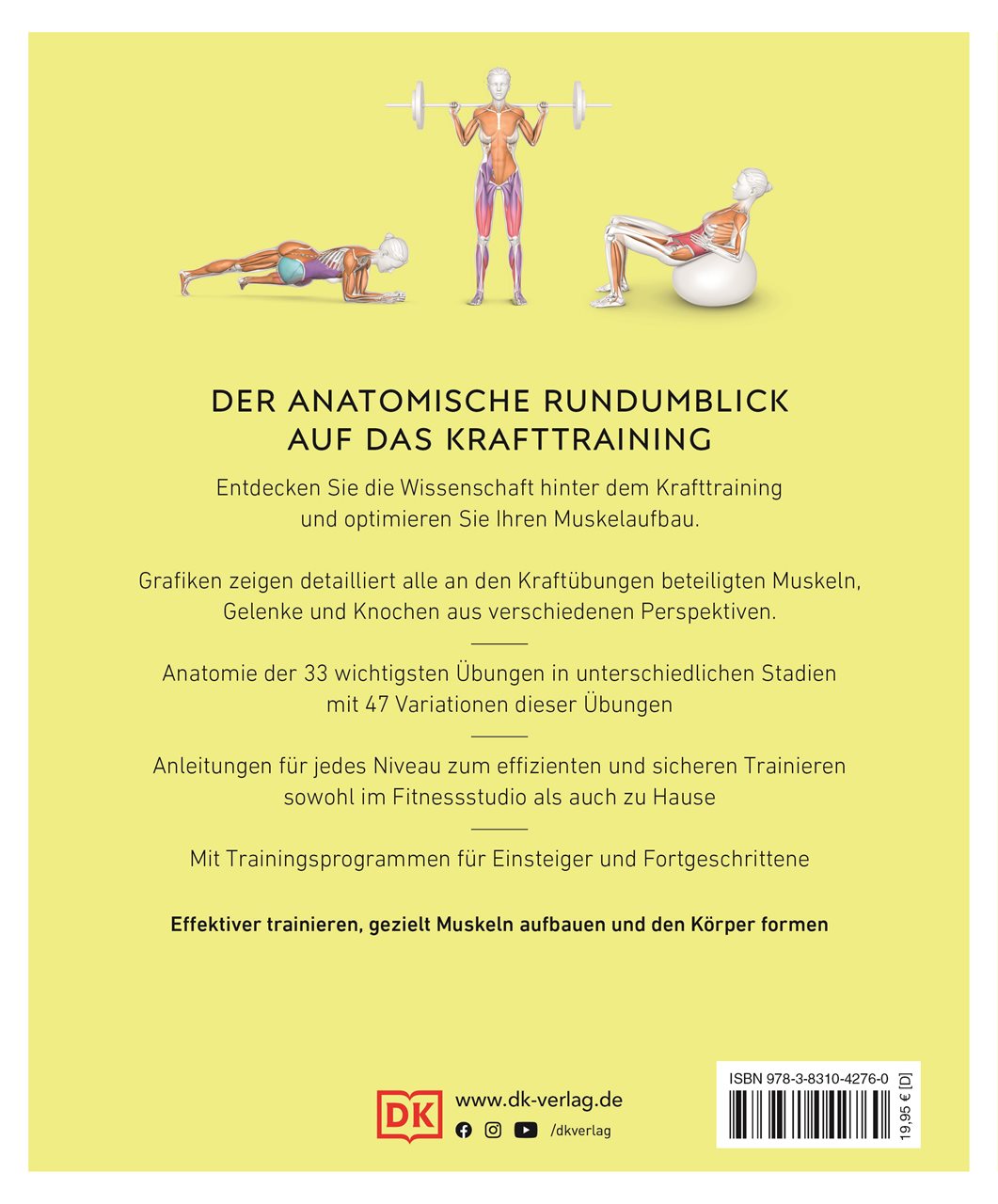 Krafttraining – Die Anatomie verstehen