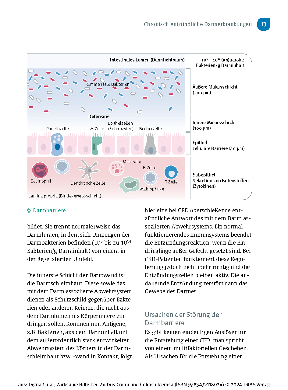 Wirksame Hilfe bei Morbus Crohn und Colitis ulcerosa