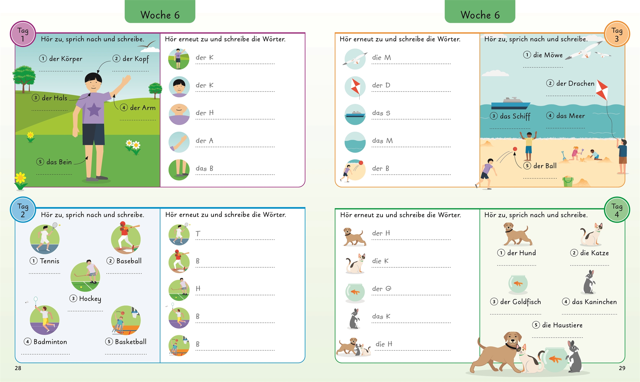Deutsch für clevere Kids - 5 Wörter am Tag Deutsch für clevere Kids - 5 Wörter am Tag
