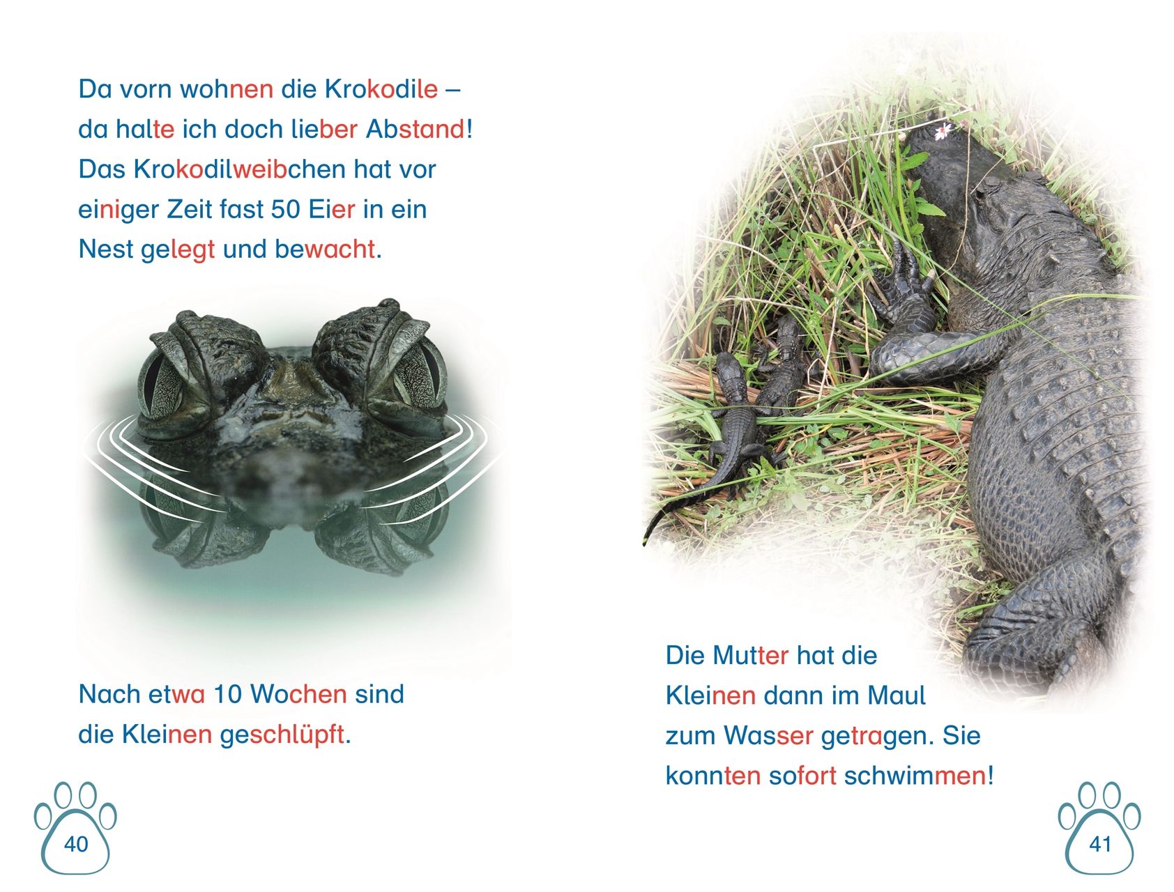 SUPERLESER! Nachwuchs bei uns im Zoo