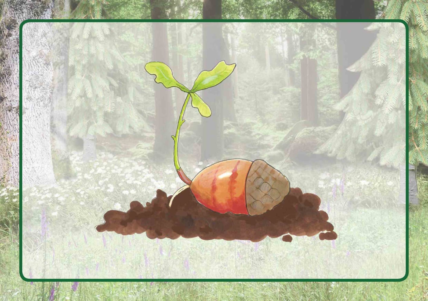 Raus in den Wald! Raus in den Wald!
