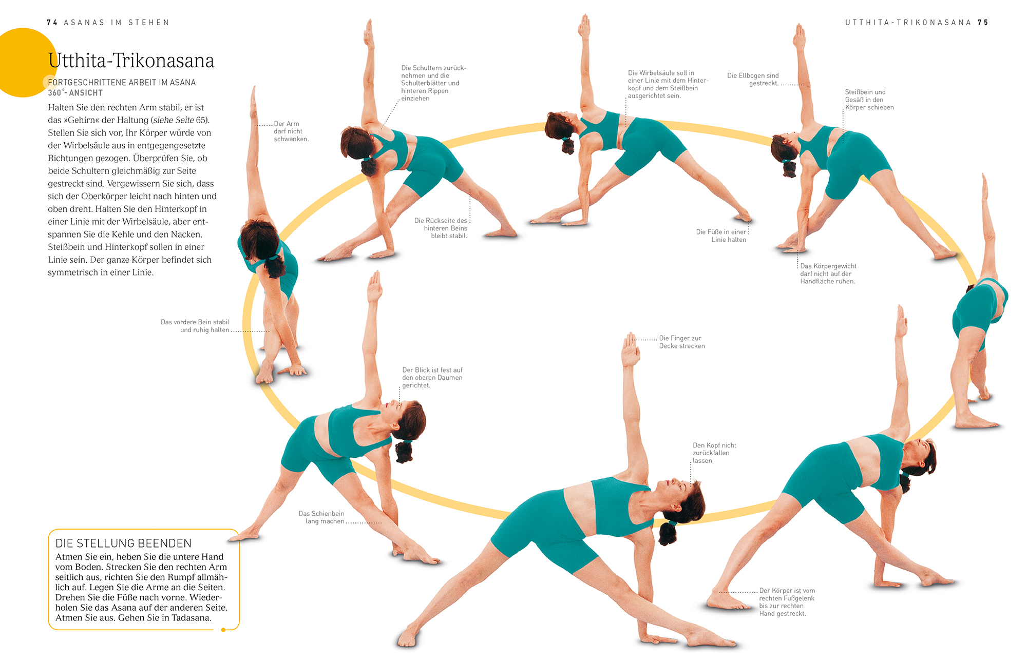 Yoga Yoga