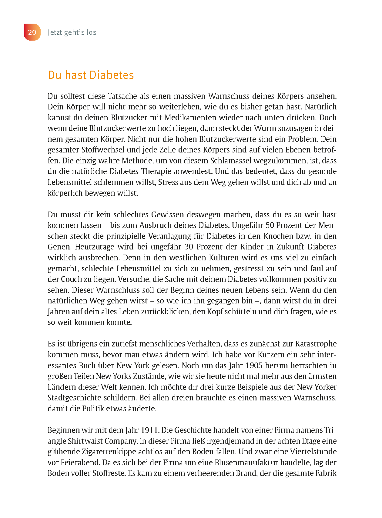 Der Anti-Diabetes-Plan - Das Praxisbuch