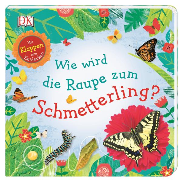 Wie wird die Raupe zum Schmetterling? Wie wird die Raupe zum Schmetterling?