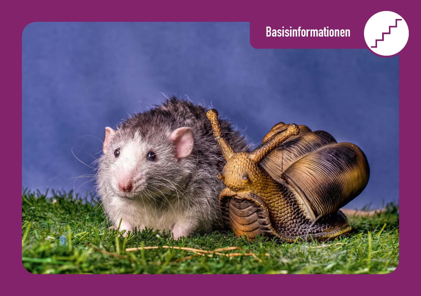 Meilensteine der kindlichen Entwicklung