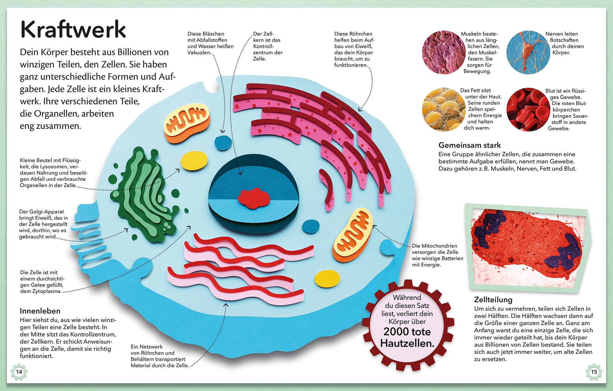 Mein genialer Körper
