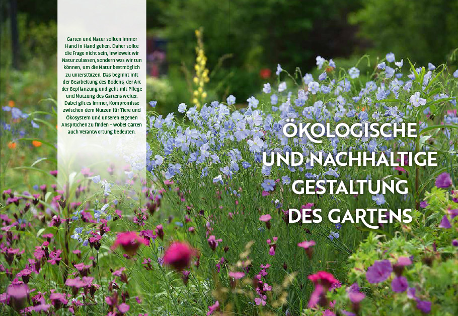 Echte Hitzeprofis Echte Hitzeprofis