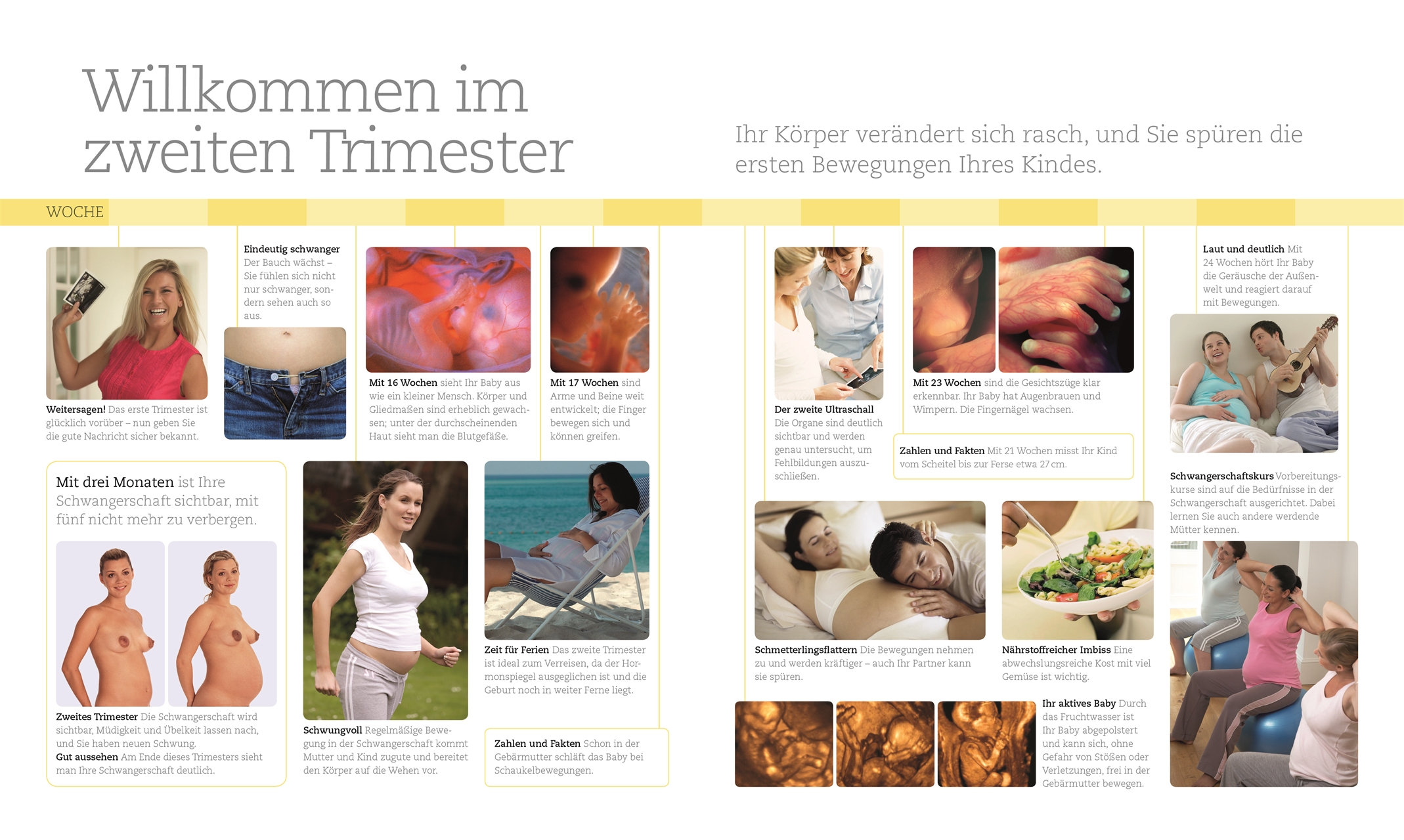 Alles über meine Schwangerschaft Tag für Tag Alles über meine Schwangerschaft Tag für Tag