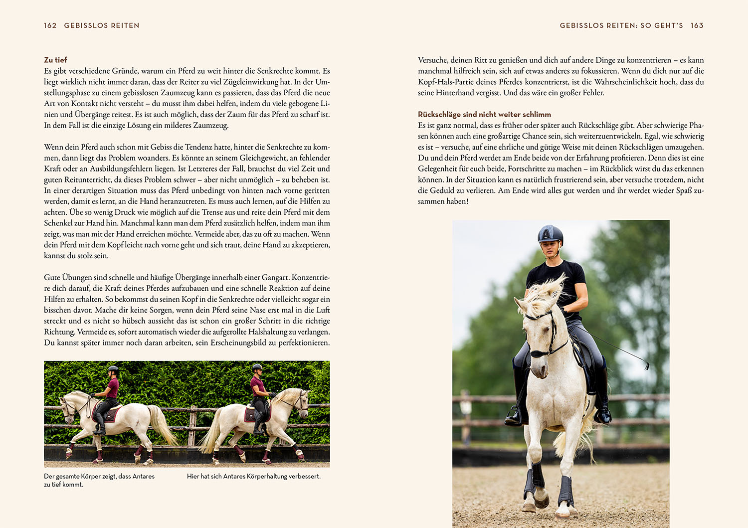 Gebisslos Reiten