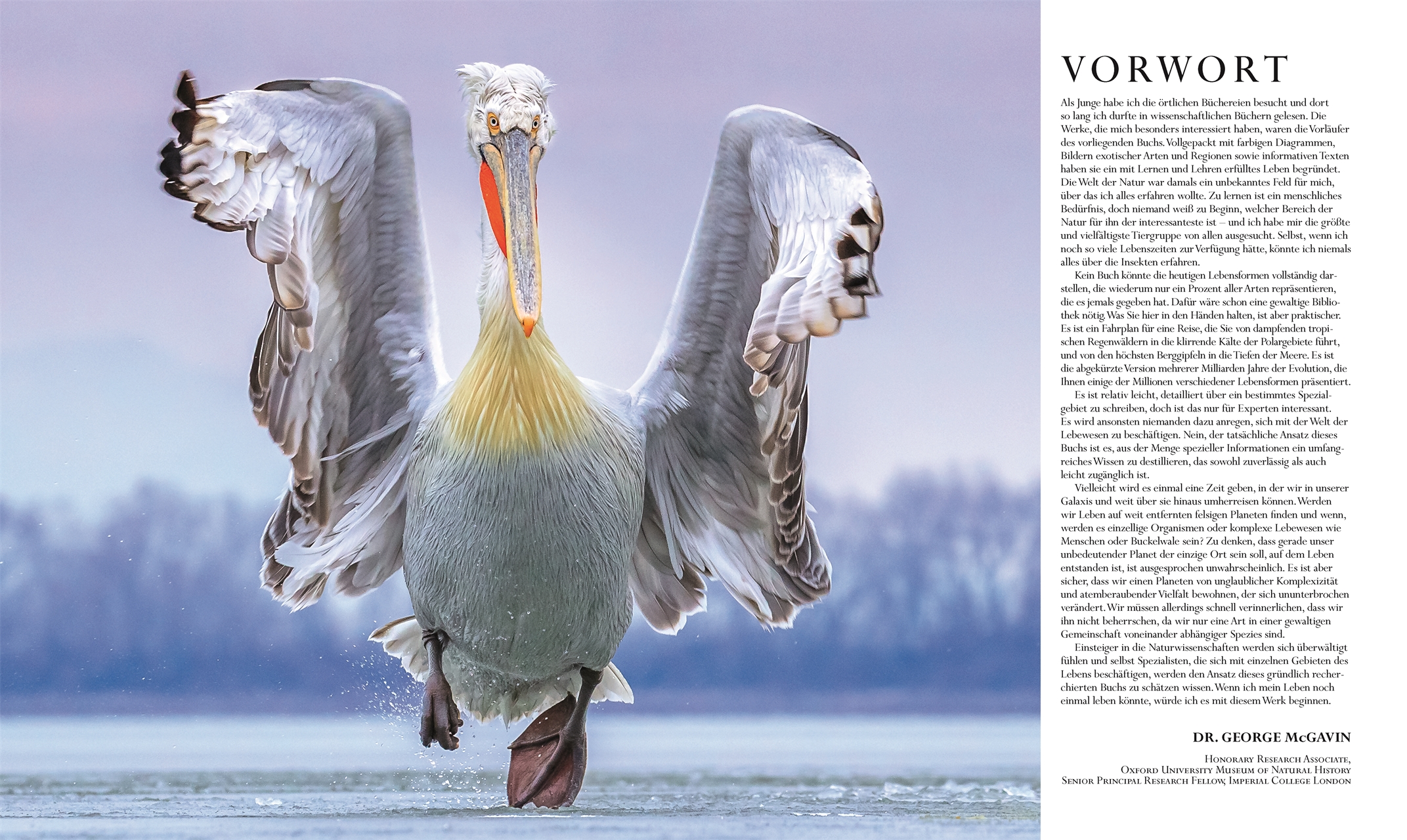 Die Natur in über 5000 Fotos