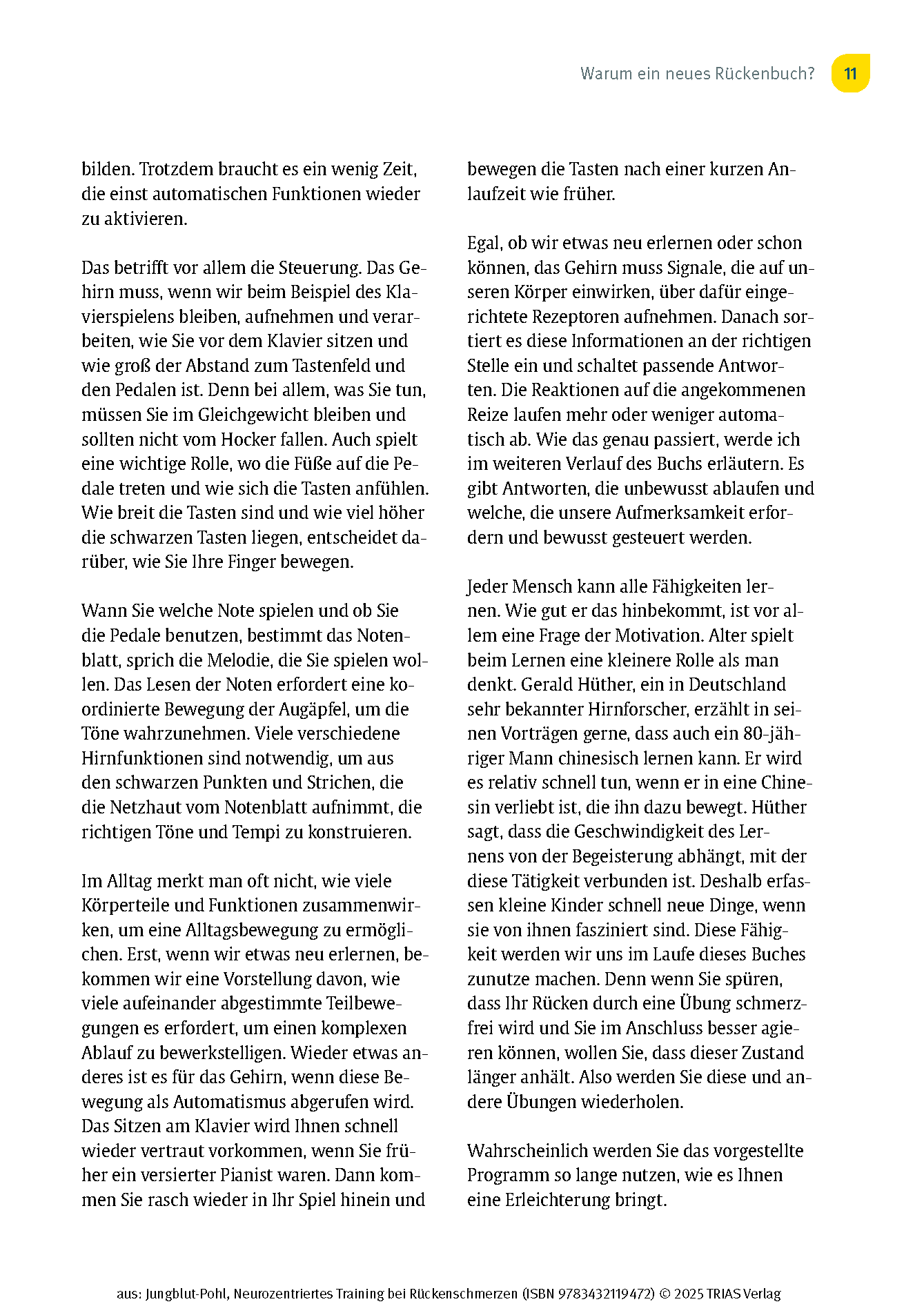 Neurozentriertes Training bei Rückenschmerzen