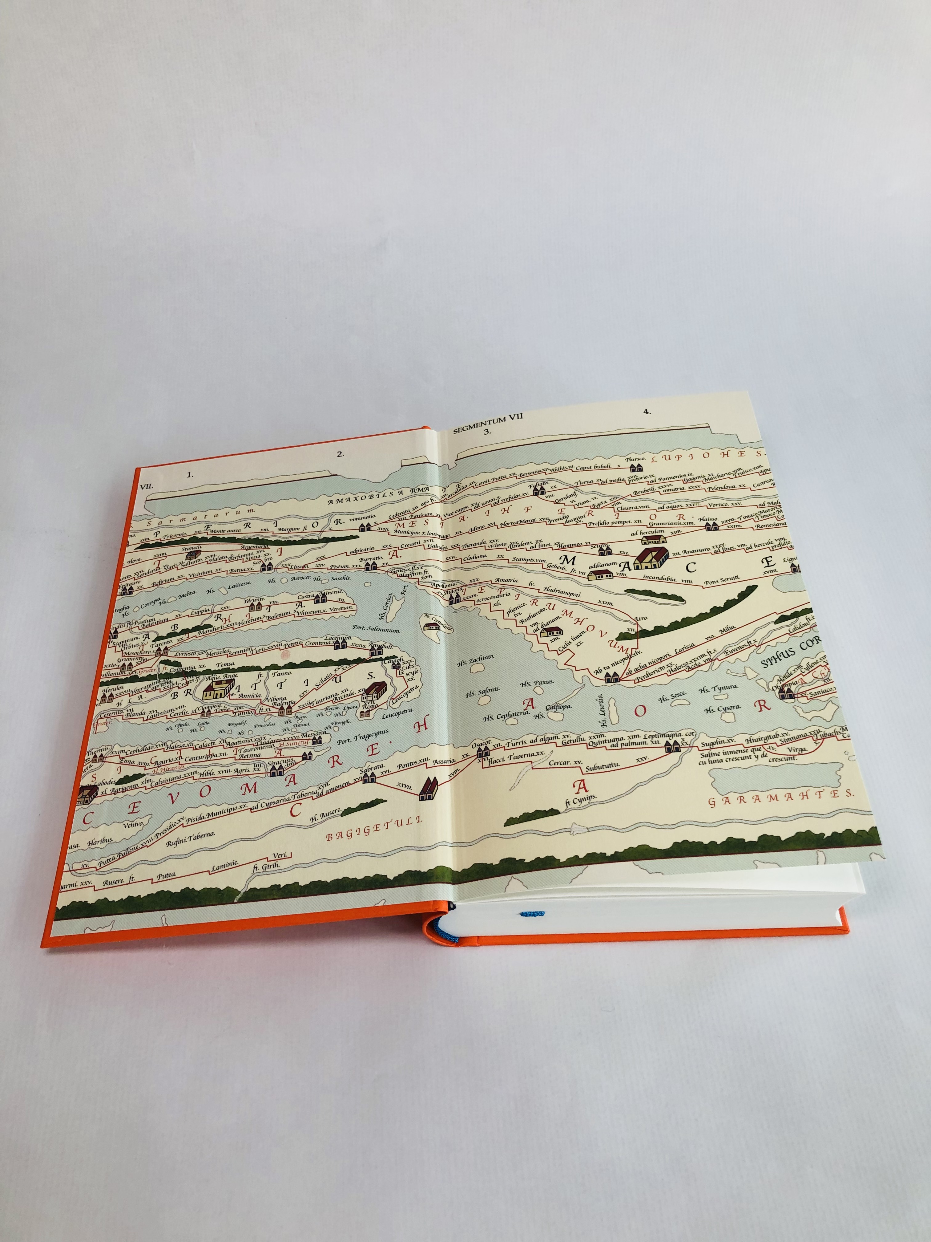 Die Bücherjägerin