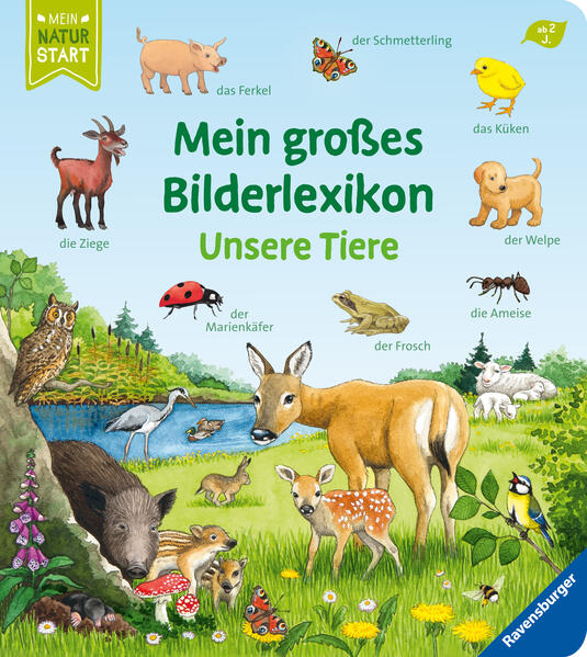 Mein großes Bilderlexikon: Unsere Tiere Mein großes Bilderlexikon: Unsere Tiere