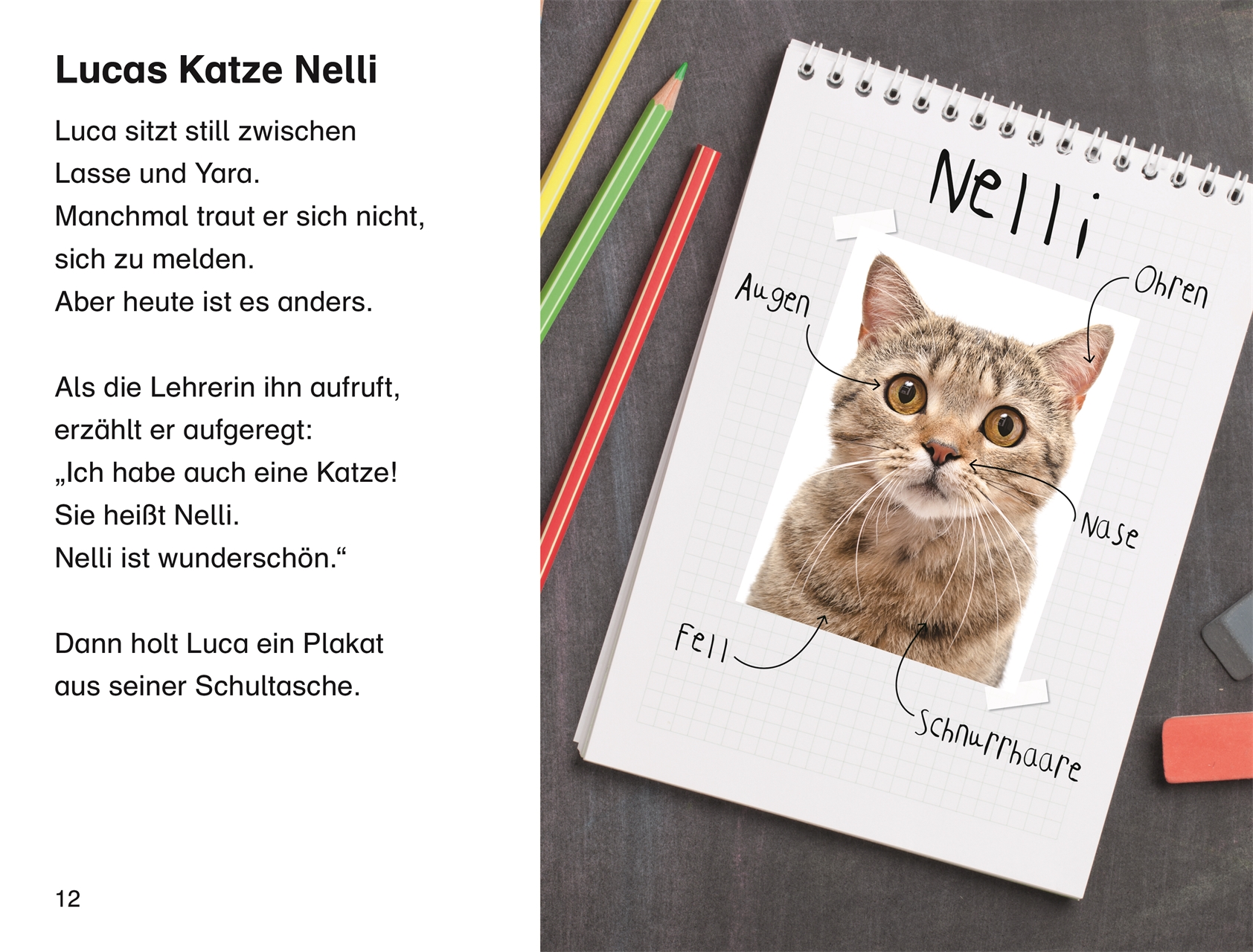 SUPERLESER! Lucas neue Katze