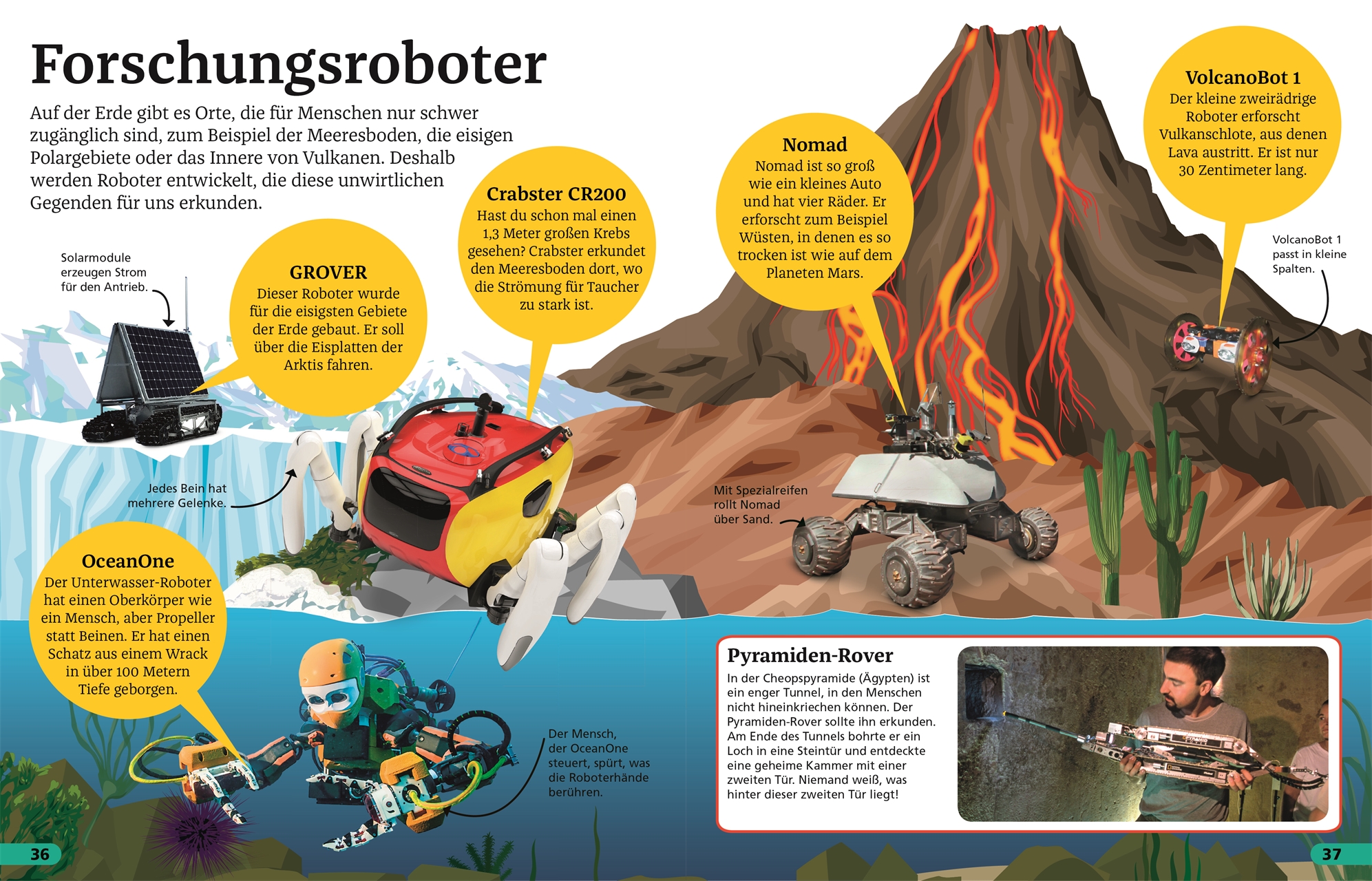 Superchecker! Roboter