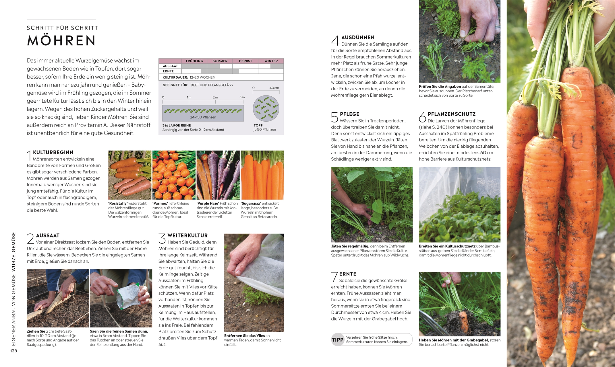 Kleiner Garten - große Ernte Kleiner Garten - große Ernte