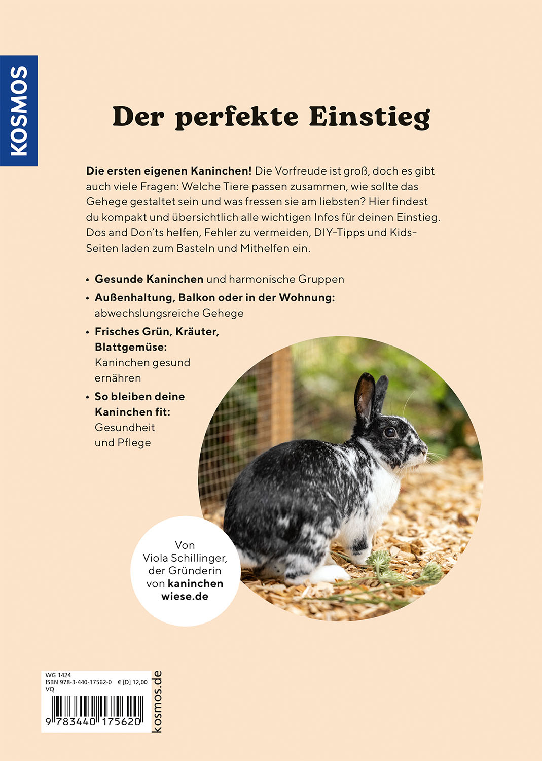 Zwergkaninchen