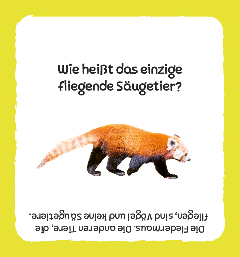 Kartenbox: Das große Quiz – Tiere Kartenbox: Das große Quiz – Tiere
