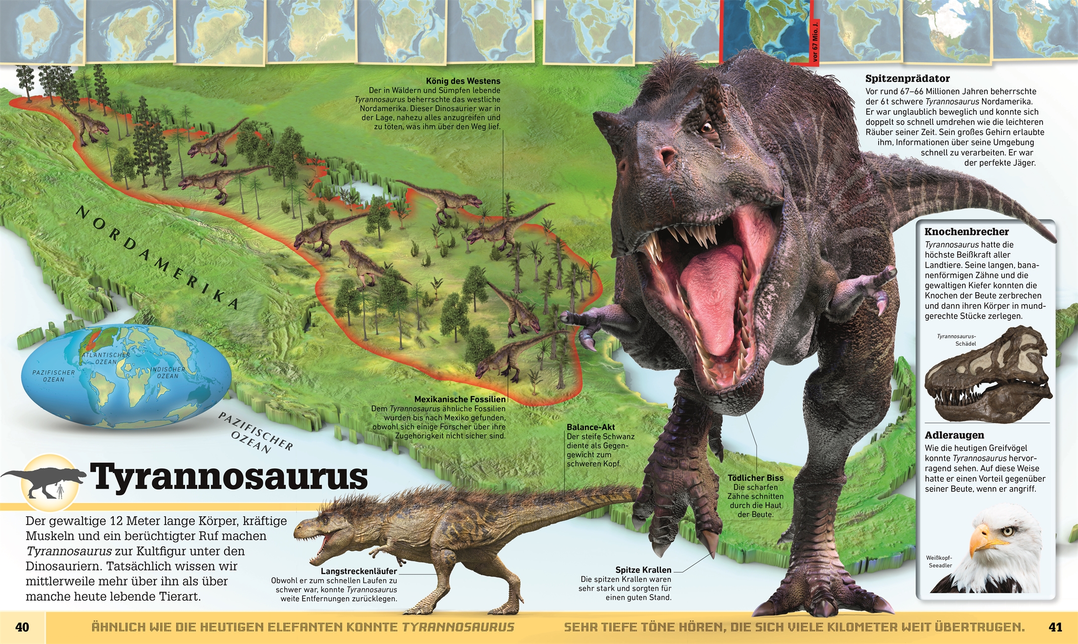 Wo in aller Welt. Dinosaurier-Atlas
