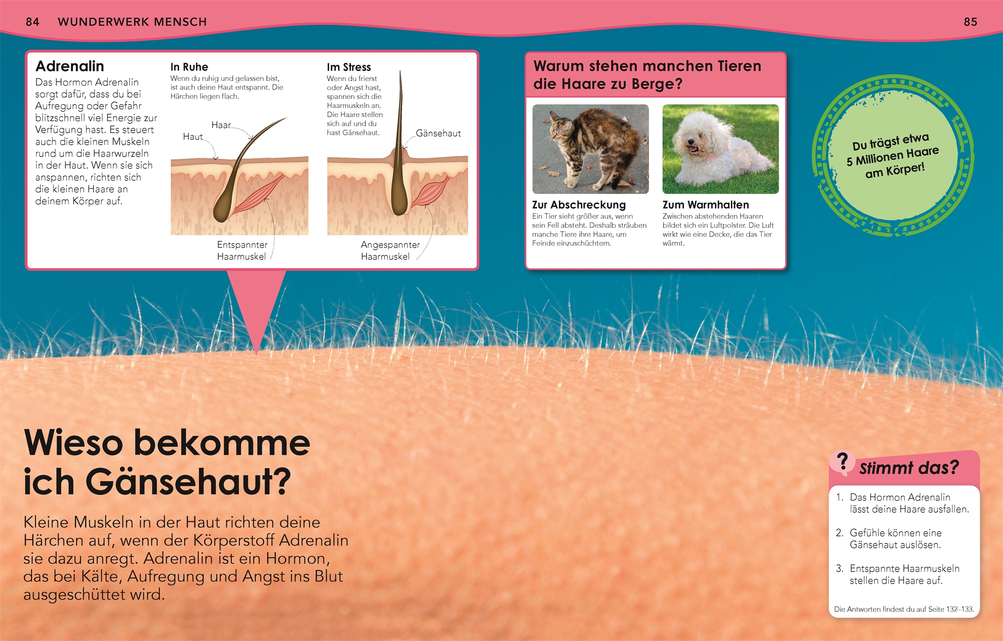Weshalb? Deshalb! Körper Weshalb? Deshalb! Körper