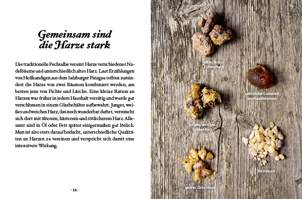Das große kleine Buch: Harz- und Pechsalben