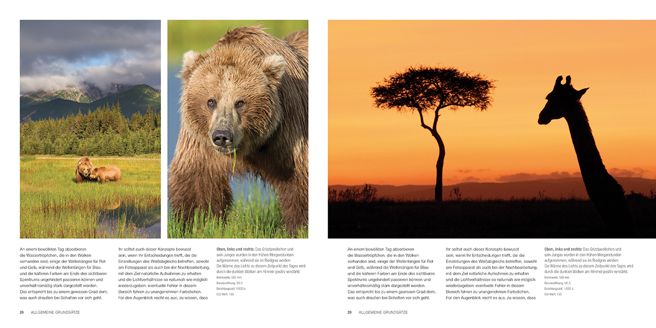 Die Kunst der Wildtierfotografie