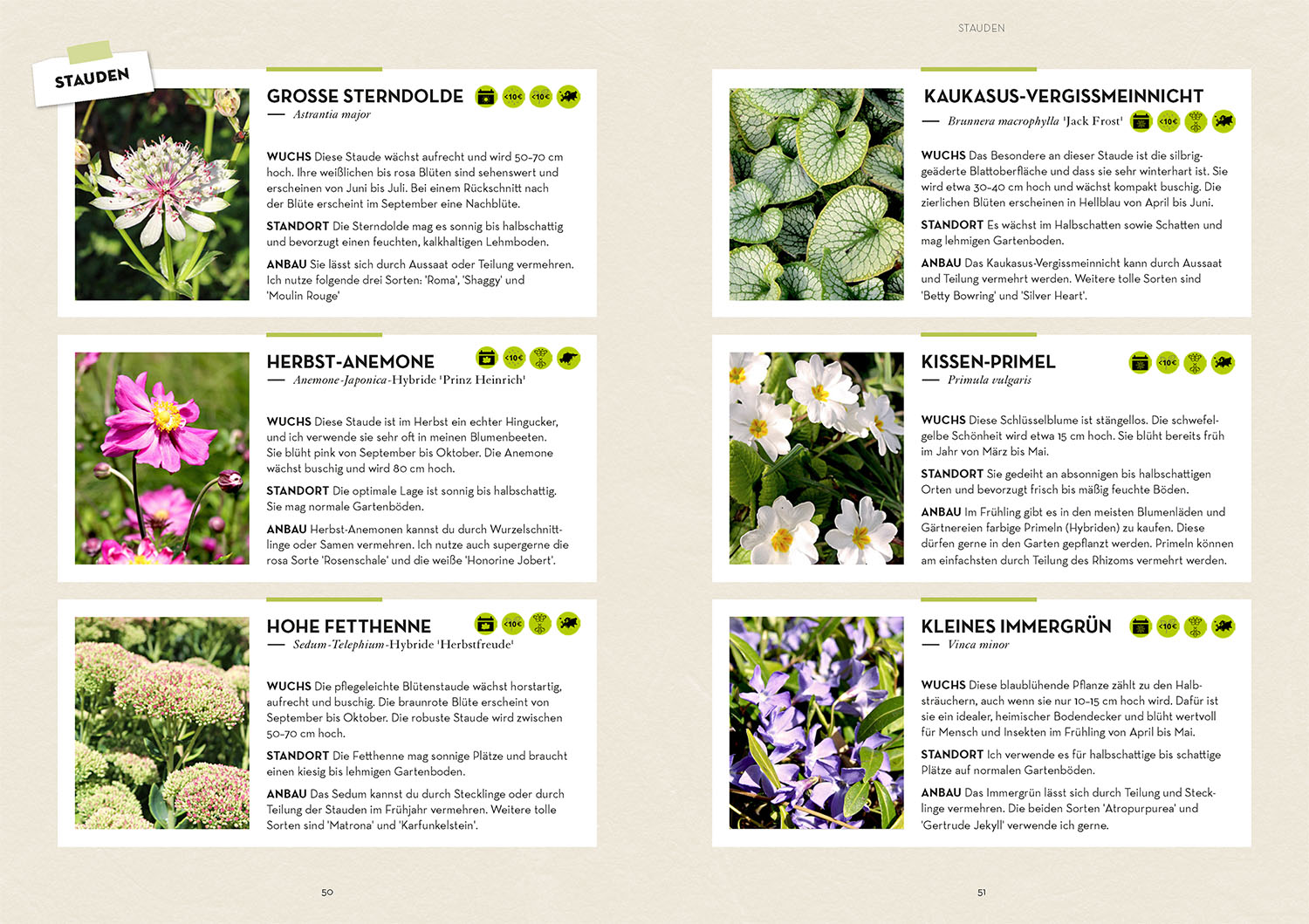 Garten - einfach günstig Garten - einfach günstig