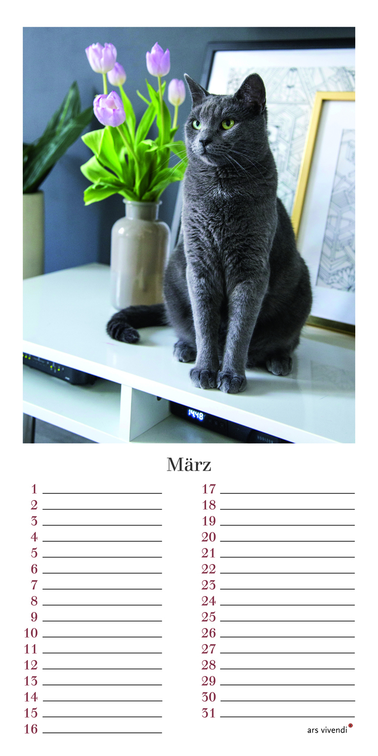 Geburtstagskalender Katzen