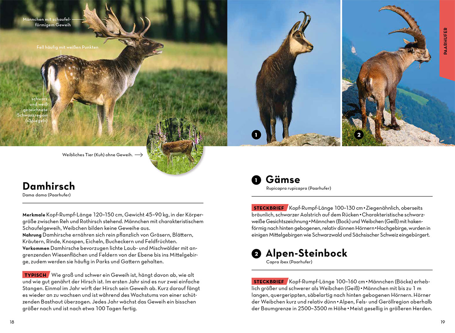 Tiere und Pflanzen Deiner Heimat Tiere und Pflanzen Deiner Heimat