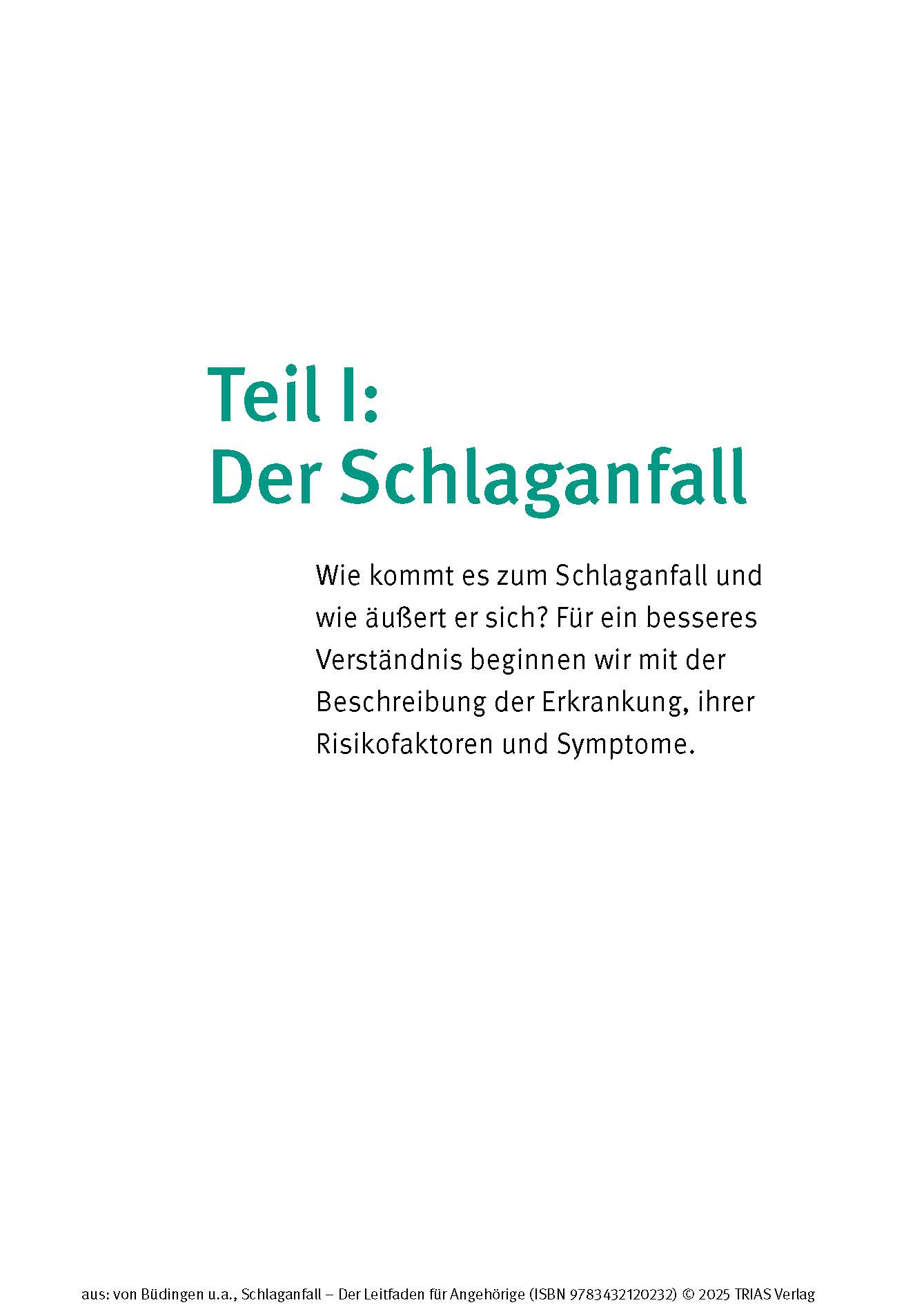 Schlaganfall - Der Leitfaden für Angehörige