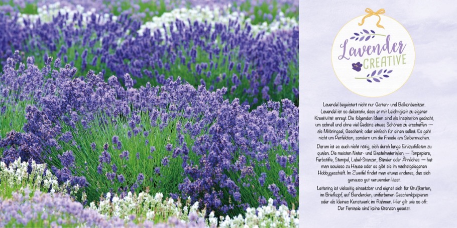 Lavendel-Liebe